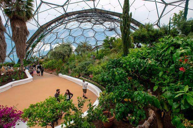 Oltco: Revolutionizing Pathways at The Eden Project