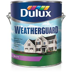Dulux Weatherguard - paint