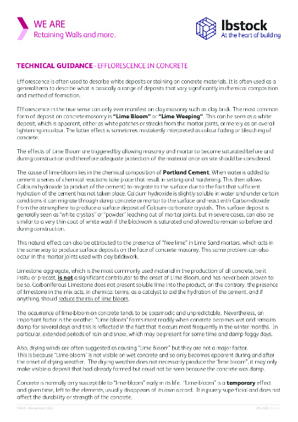 Technical Guidance - Efflorescence in concrete