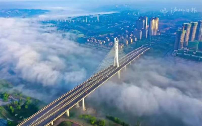 "How Passive Purple External Protects Bridges and Tunnels for Decades"