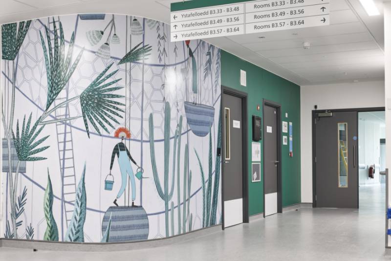 Wall Protection - Grange University Hospital