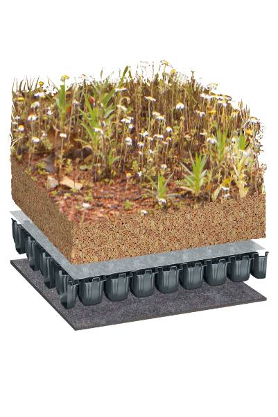 BauderEXTENSIVE PLANTsubstrate Flora Seed Mix Green Roof System, Flat Roof