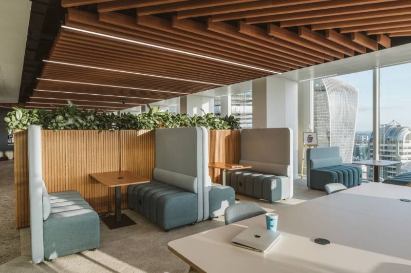 Acoura: The Versatile Ceiling System Redefining Acoustic Comfort