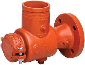 731-D Suction Diffuser - Strainer for Mechanical Piping Systems