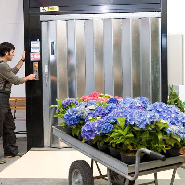 GLE Rhino Goods Lift