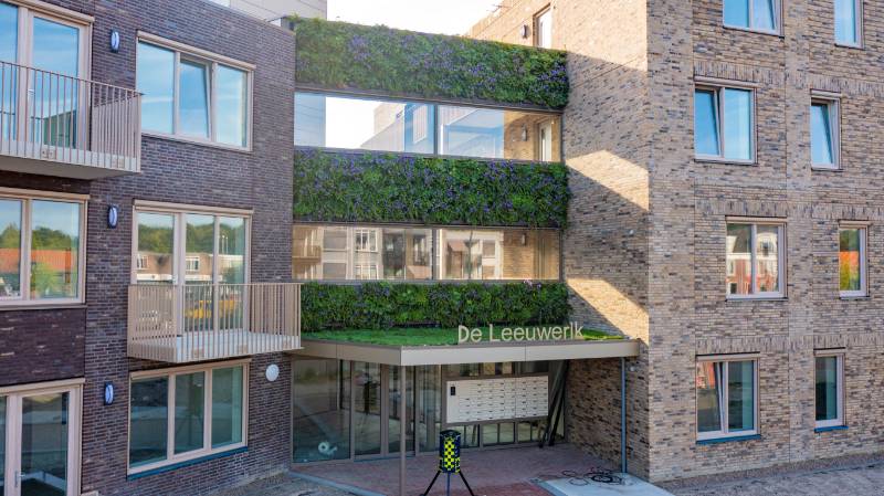The living green wall above the entrance to new-build project ‘The Leeuwerik’ enchants everyone