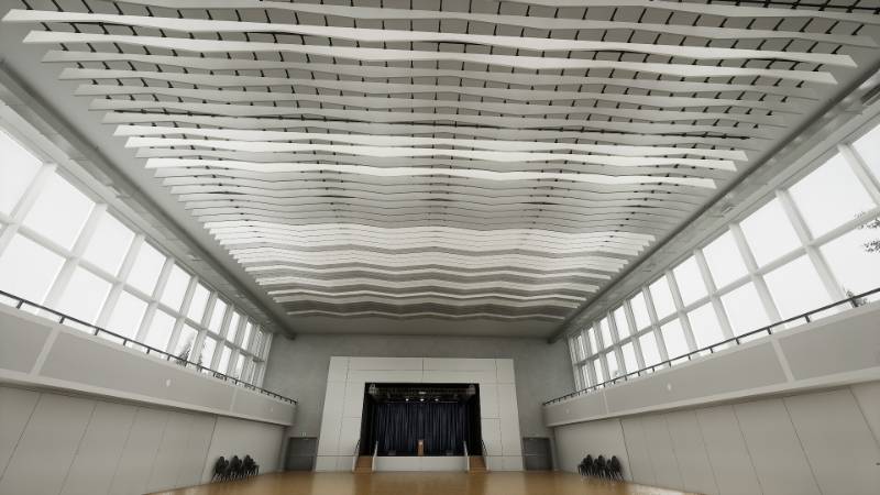 Sonify By Zentia – Sonify Baffle Shapes, Angle - Ceiling System