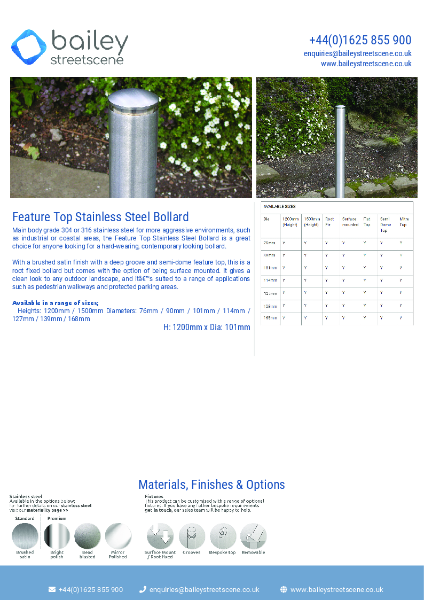 Feature Top Stainless Steel Bollard