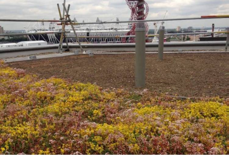 Premium Green Roof Insulation