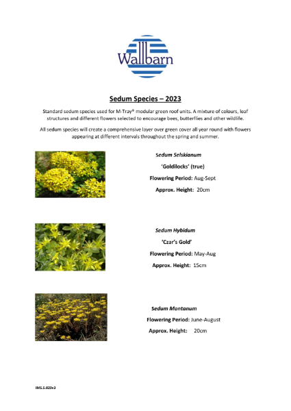 Datasheet - Sedum plants species list