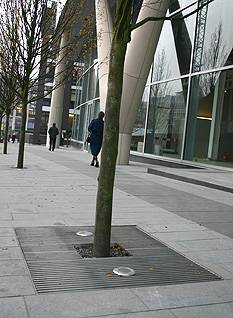 ASF 3000 SS Stainless Steel Tree Grilles, Spinningfields, Manchester