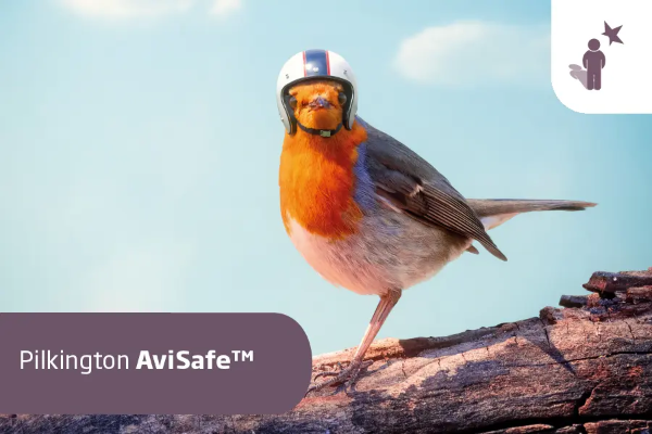 Pilkington Avisafe™ Lasi