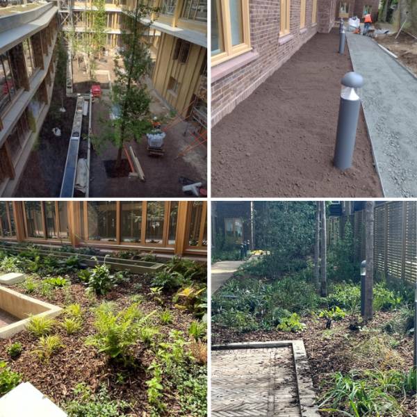 Hortloam BST - Topsoil