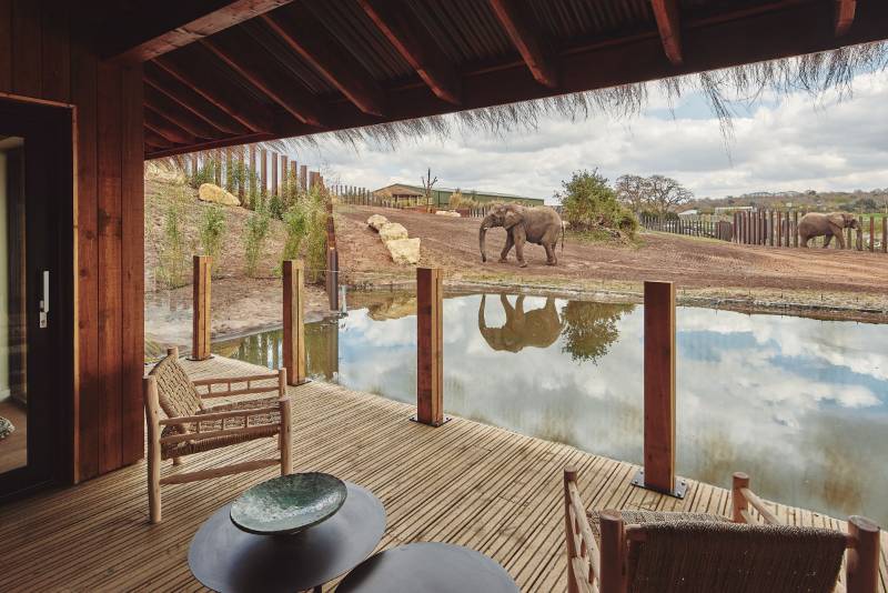 West Midland Safari Park | Safari Lodges | Commercial Non-Slip Decking Case Study