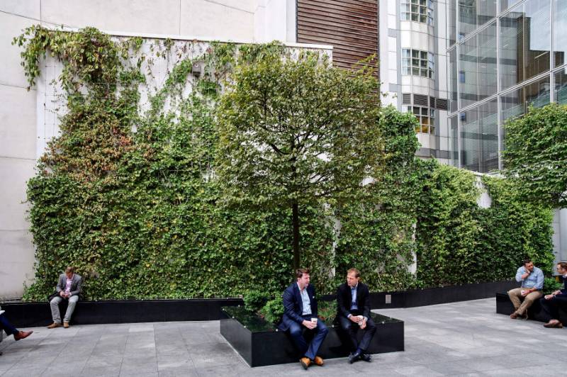 Drapers Garden, London - JAKOB Rope and Rod Green Wall Incorporating Bat Boxes to contribute to wildlife habitats.