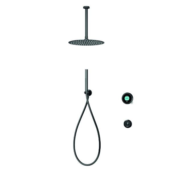 Intuition Divert Concealed Hand Shower with Ceiling Fixed Heads with Remote GP