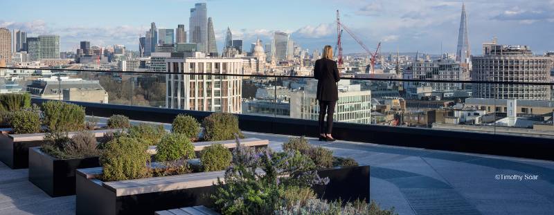 ABG blueroof - Biodiverse & Amenity Podium Areas, The Post Building, London, UK