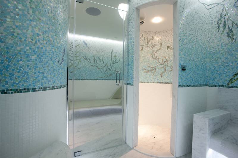 Residential Steam Suite B