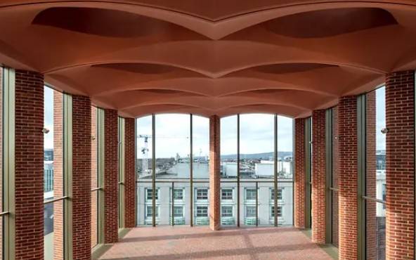 The International Rugby Experience