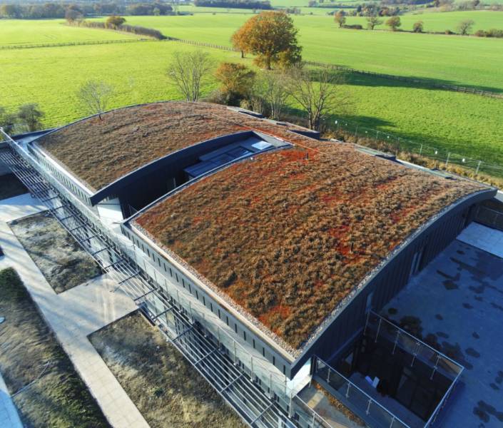 WestWood Inverted Green Roof - Liquid Applied Green Roof System