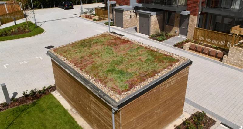 Sedum Roof - Green Roof