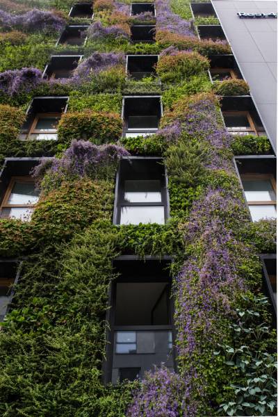 Rain Screen Cladding System - Cladding System