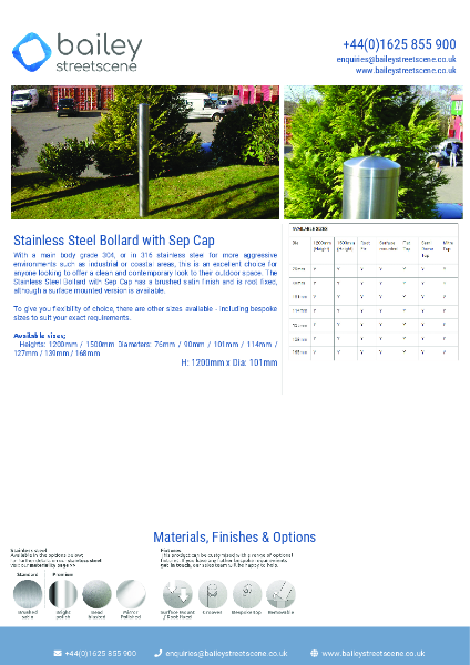 Stainless Steel Bollard with Sep Cap
