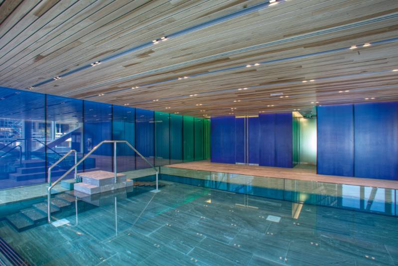 Swimming Pool Ceilings