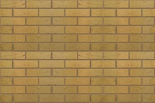 Brunswick Buff - Clay Facing Brick