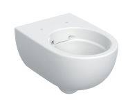 Geberit Selnova Premium Wall-Hung WC, Washdown, Shrouded, Rimfree - Wall-hung WC