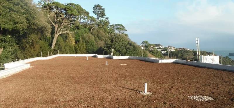 Biodiverse Roof for Care Home in Coastal Conservation Area Thatcher View