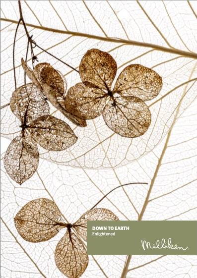 Down to Earth - Enlightened Design Brochure