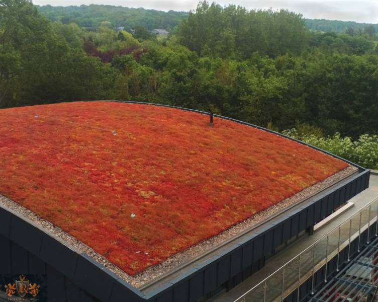 The Old Pump Works - Flexible and robust waterproofing for curved green roofs