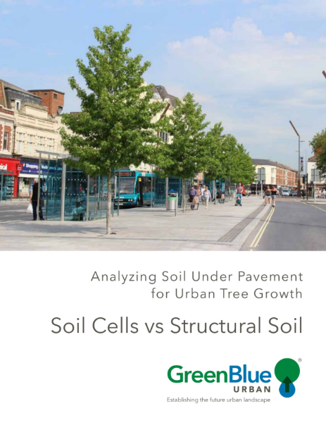 Soil Cells vs Structural Soil