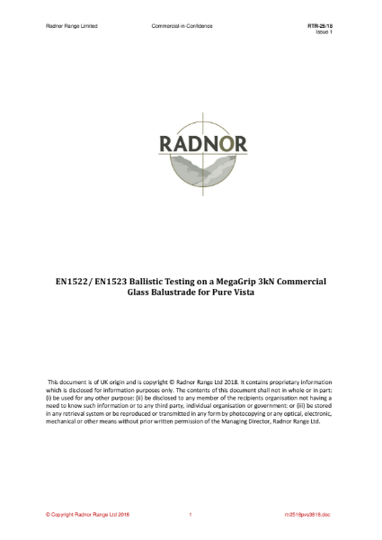 Ballistic Report MEGAgrip