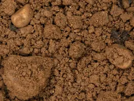 Natural Stone Footpath & Tree Pit Gravels