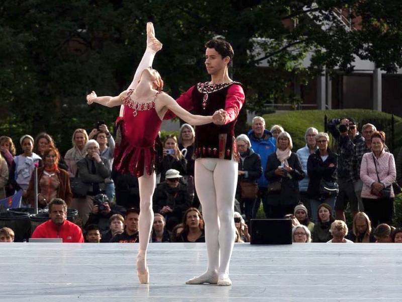 Sprung Dance floor - Harlequin Liberty HD - Dance and Performance Floor