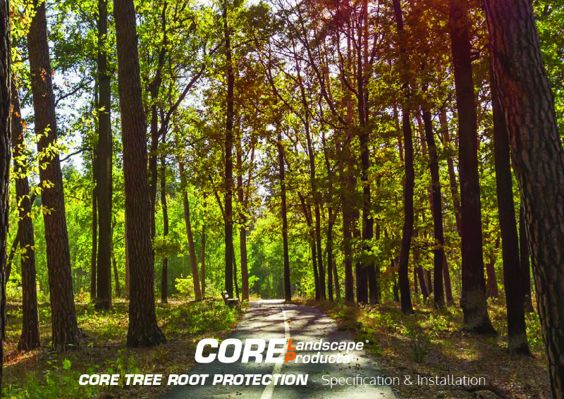 CORE TRP Brochure