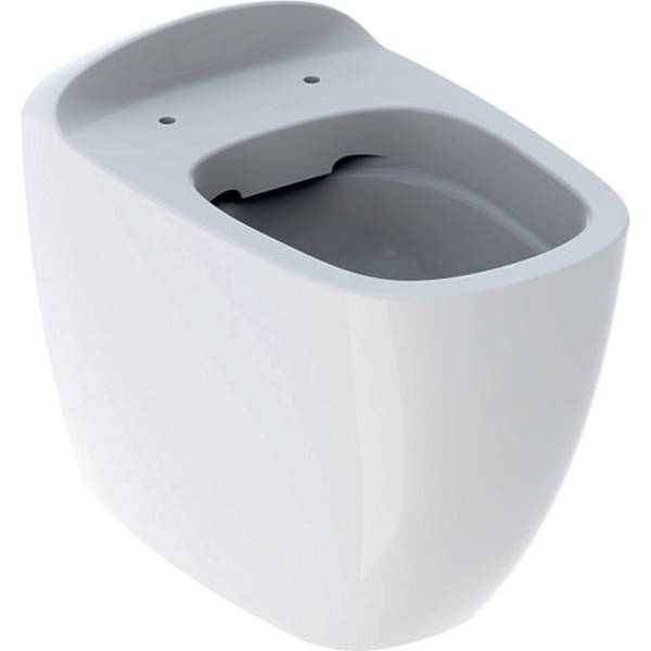 Citterio Floor-Standing WC, Washdown, Back-To-Wall, Shrouded, Rimfree