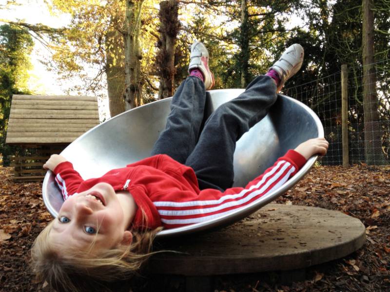 Timberplay Rotating/ Roundabout