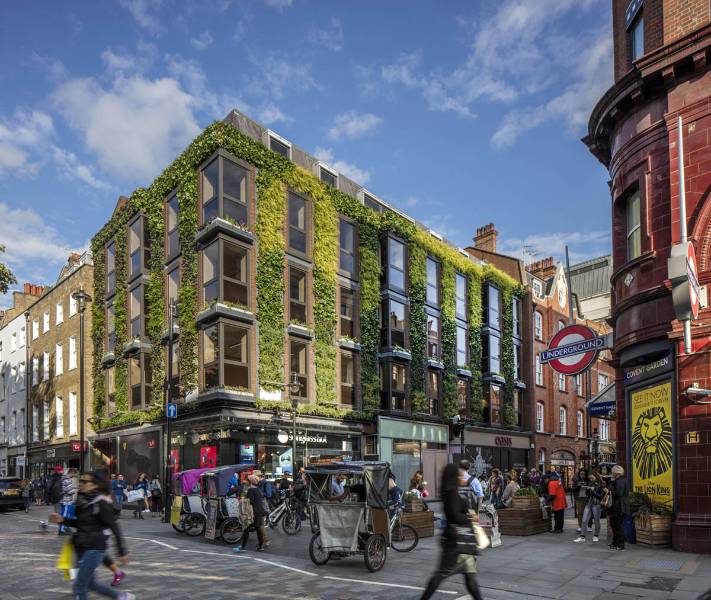 Covent Garden Living Wall