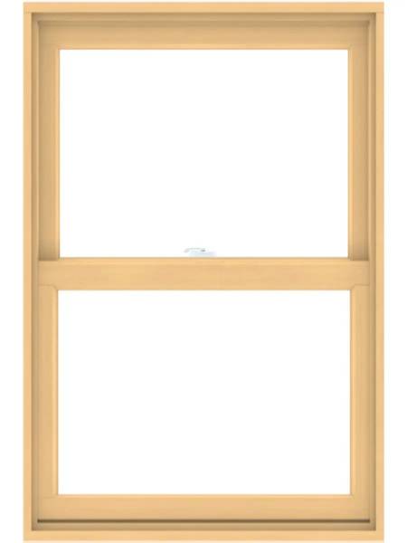 200 Series Double-Hung Window 