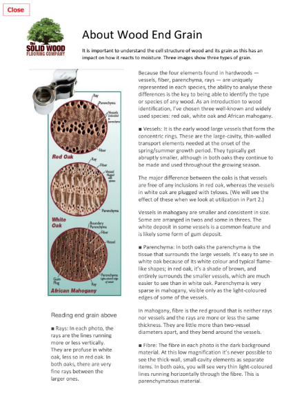 End Grain & Cell Structure of Wood