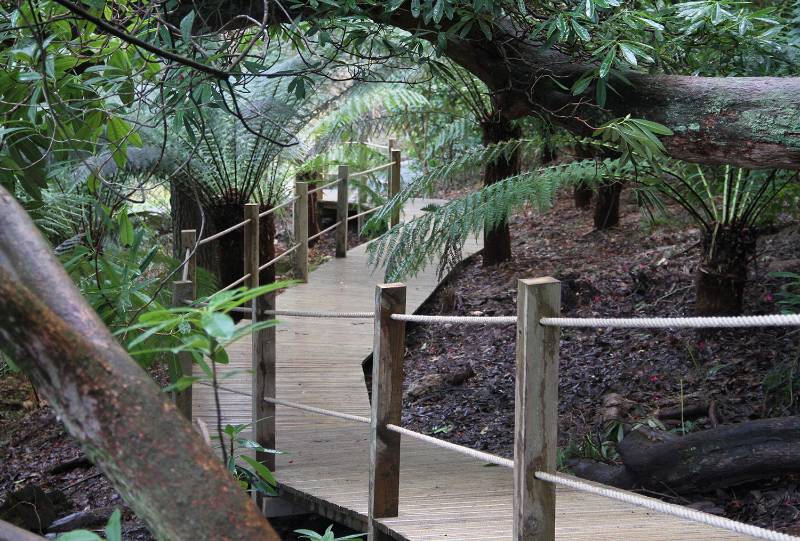 The Lost Gardens of Heligan Boardwalk | Commercial Non-Slip Decking Case study