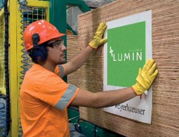 Lumin Plywood - Plywood panels 