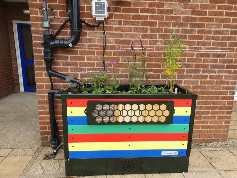 Installation of Sustainable Drainage Systems (SuDS) at Bilton Community Primary School