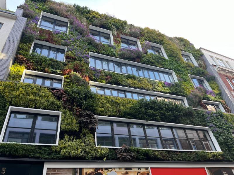 Living Walls in Practice: Design, Compliance and Performance