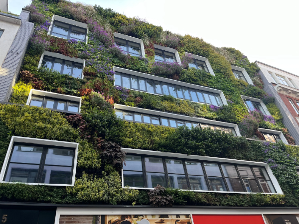 Living Walls in Practice: Design, Compliance and Performance