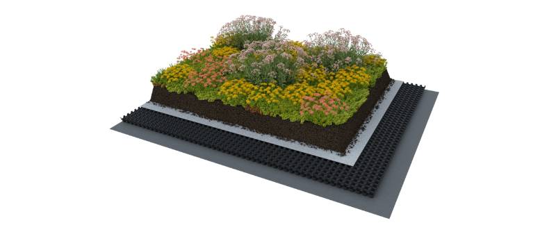 Extensive Green Roof