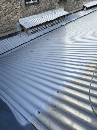 Soteria: Asbestos Encapsulation paint  - Elastic and Crack Bridging Coating